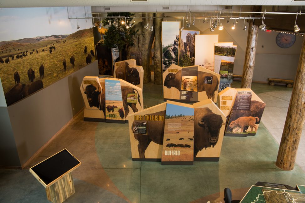 Large-scale bison displays introduce visitors to this iconic species, which can be found at the park.