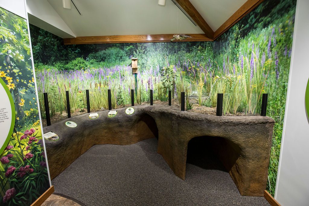 Younger visitors can crawl through an immersive diorama about the blazing star prairie. 